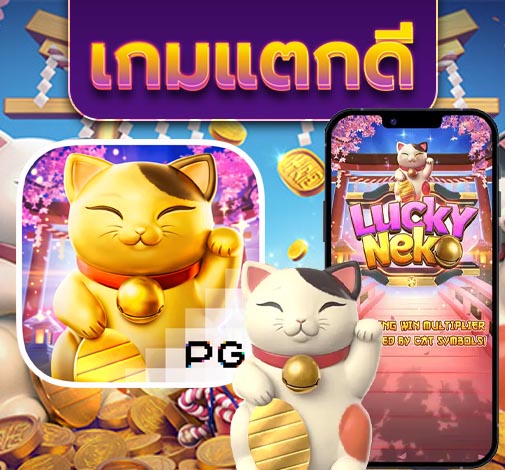 ทดลองเล่น pg