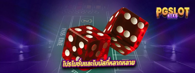 โปรโมชั่นและโบนัสที่หลากหลาย